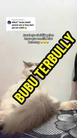 Membalas @n WKWKWKWK pelan bgt ya kan jaga seru🤣🤣🤣