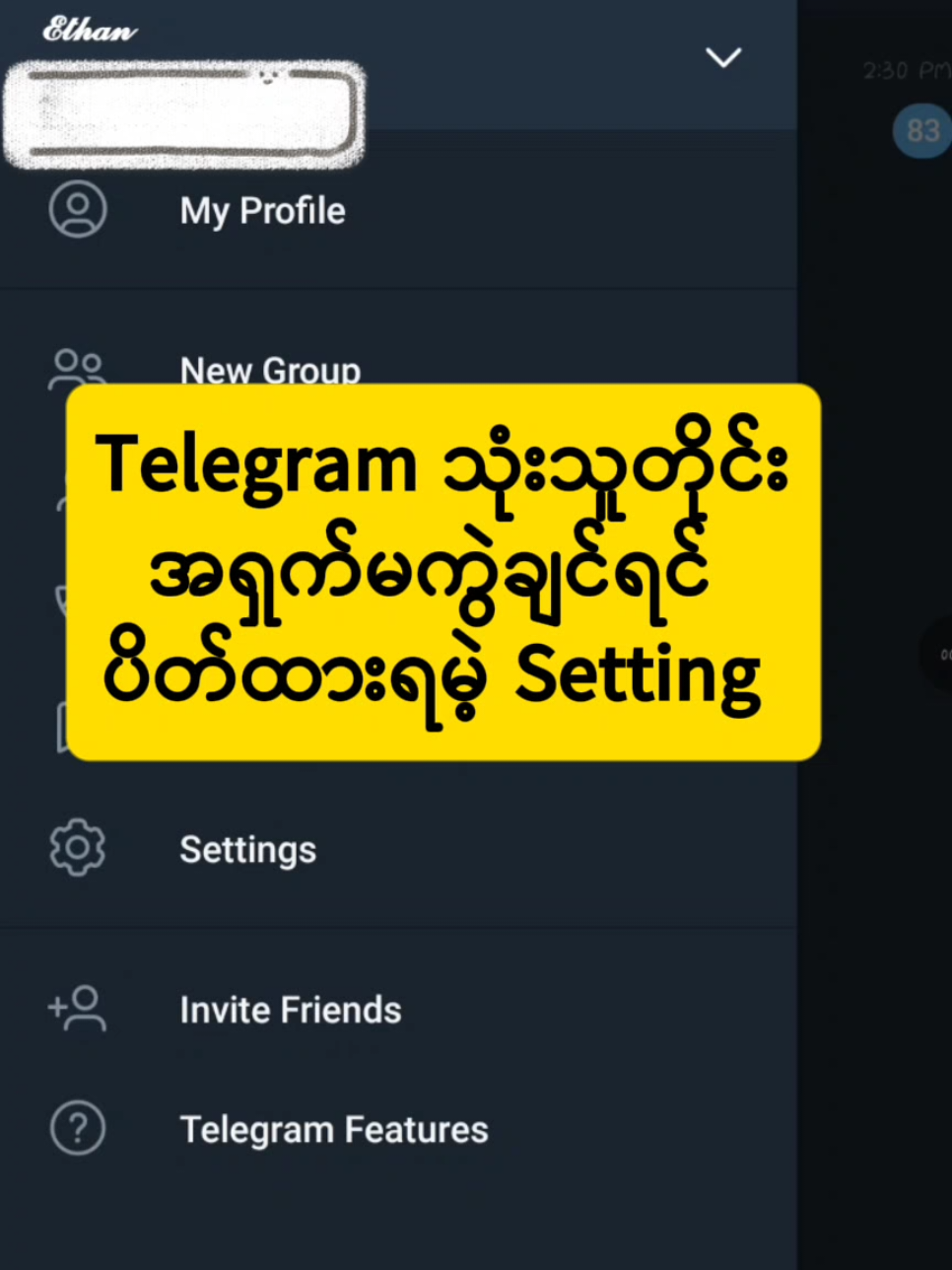 Replying to @amarapuratharlay  Telegram မှာ လုံးဝသိထားသင့်တဲ့ Privacy setting‼️#VoiceEffects  #TelegramSetting#TelegramPrivacy #TelegramMyanmar#TgSetting   #Codeမကျတတ်သူများအတွက်  #MyanmarTikTok 
