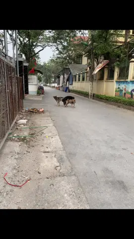 Ô kìa bạn ơi 🤣
