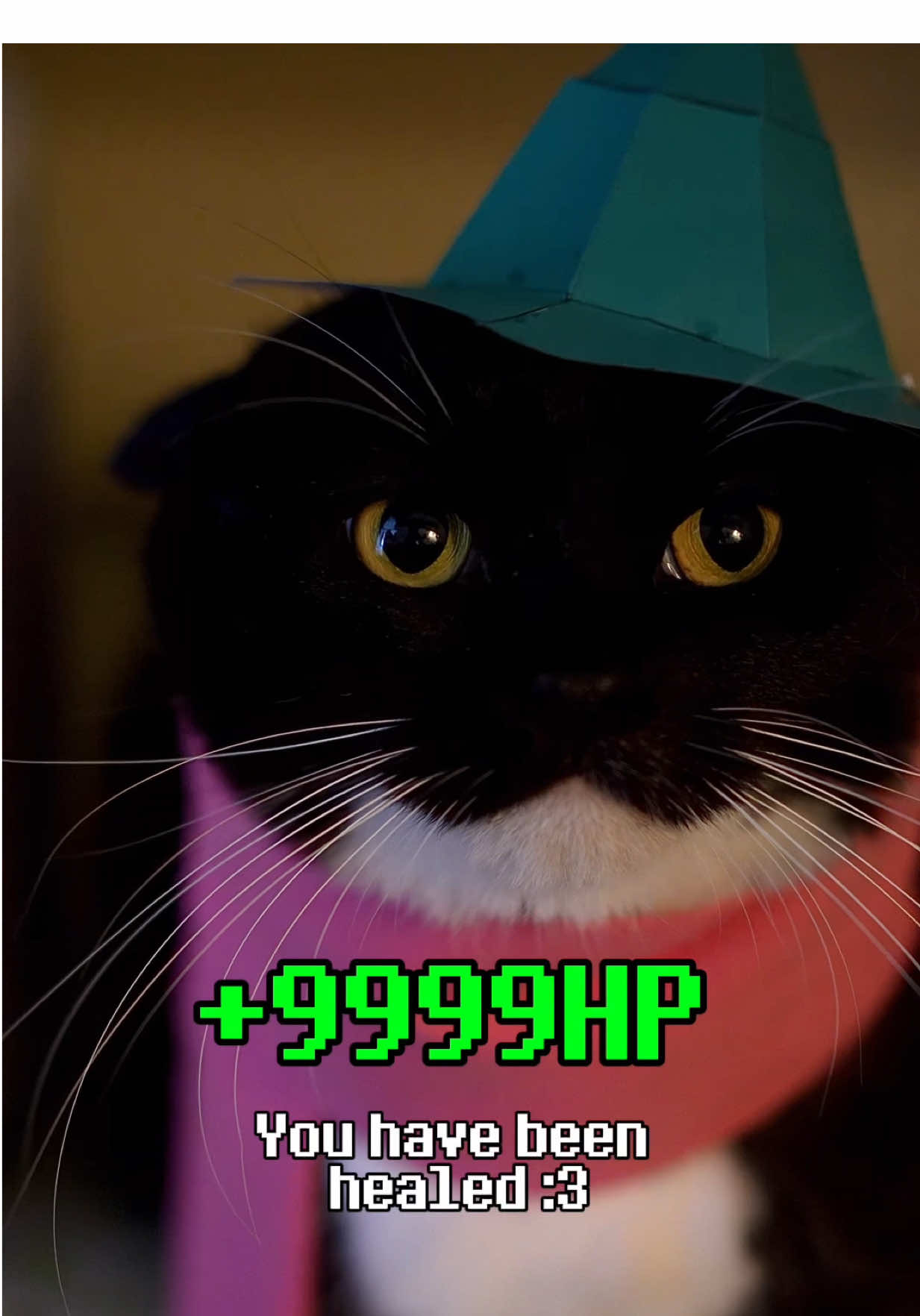 The fluffy prince is blessing you  #deltarune #undertale #cat #ralsei #tobyfox 