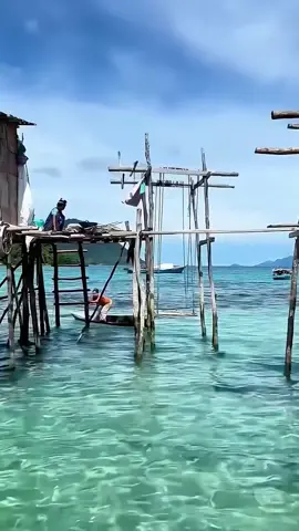 The life of the Bajau people - people who live at sea all year round #usa #fyp #foryou #knowledge #Bajau 