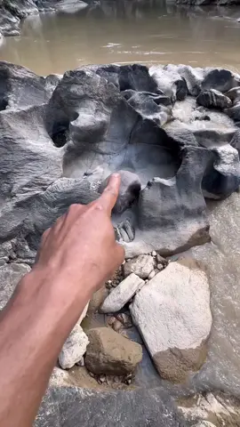#golddiscovery #goldprospecting #goldcoin #goldmining #viral #foryou #usa #for 