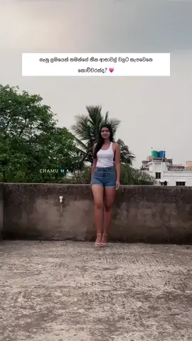 #chamu🦋 