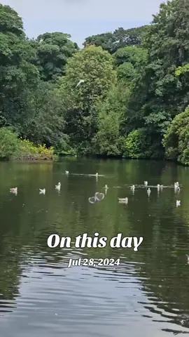#onthisday