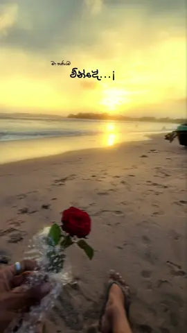 නුඹ ගැන මතකය සිහිනෙක රන්දා…🤍! @Dhanith Sri  #fypage #viraltiktok #fffffffffffyyyyyyyyyyypppppppppppp #us🥹 #reverbslowed #millionaudition #pov #songlyrics #lyrics #cinematic #foryou #songs #mathaniyamavinde #following #viraltiktok 