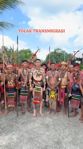 Penolakan Terasmigrasi  Di Kalimantan Barat  Sumber Tiktok: 1. inong.gt 2. Cerita_nusantara9 3. Mr T 4. abanggafar_tatto96 5. opet_347 6. Nek Uban Nkb KAP... 7. petrus sabang merah Sumber Google: Tempo.co #fyp #tolak #trasmigrasi #kalimantan #kalimantanbarat #viral 