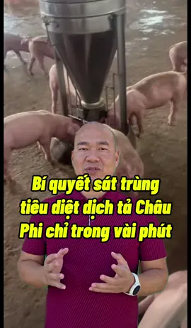 Bí quyết sát trùng tiêu diệt dịch tả Châu Phi chỉ trong vài phút  #phamxuantrinh #sieubacsi #heo #gà #xuhướng 