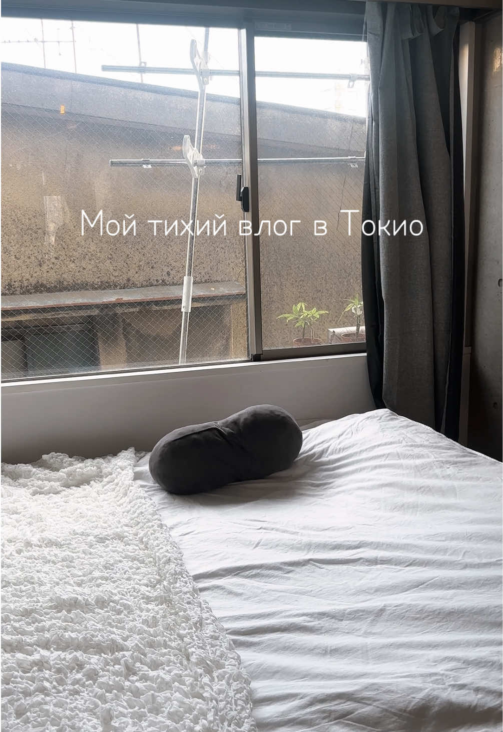 Тгк: от кейса до ножа #влог #влогТокио #японскийвлог #Vlog #vlogjapan #japan #Tokyo #токио #япония 