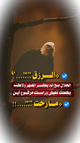 #استوريات #عبارات_جميلة_وقويه😉🖤 #مجرد________ذووووووق🎶🎵 #اكسبلورexplore #fypシ゚viral🖤tiktok☆♡🦋myvideo 