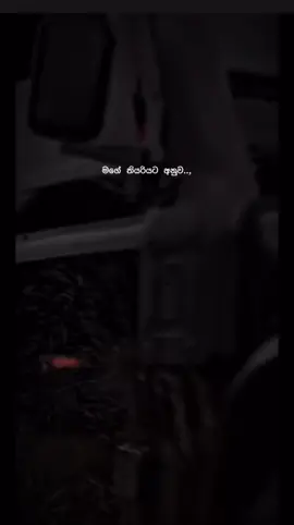 මගේ තියරිය ඒකයි ☠💀