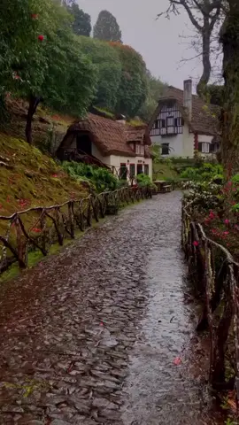 rainy day in #madeira #portugal ☁️🪽 #rain #rainyday