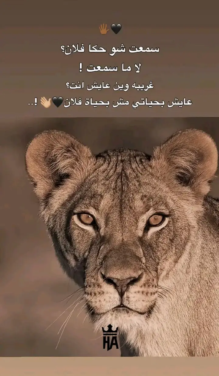 #لايكلف_الله_نفسآ_الا_وسعها💙💙🍃 