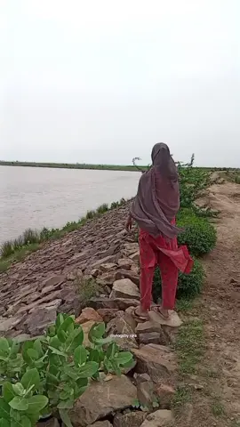 💗 #foruyou #viralvideos #tik_tok #videoviral #forupage #foryoupage❤️❤️ #plztiktokdontunderreviewmyvideo #unfreezemyacount #plzunfrezemyaccount🙏 #😭😭😭 #tiktokviral #viralmyvideo #unfreeze #fypppppppppppppp #virallllllllllllll #pleasegoviral #goviral #tiktokplzunfreezemyaccout  unfreeze my account 