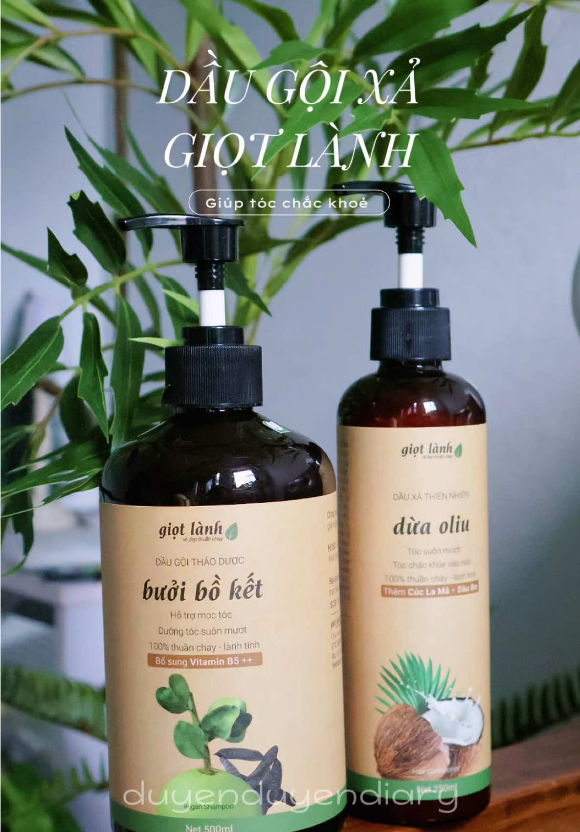 Cặp gội xả thảo dược đáng trải nghiệm nha 🌿 #giotlanh #giotlanhvietnam #giotlanhthuanchay #daugoixa #daugoixagiotlanh #daugoixathiennhien #duyenduyendiary #duyenxuunbox 