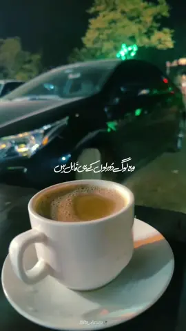 کچھ لوگ دوریوں کے ہی قابل ہیں 😥❤️‍🩹 #foryoupagе #poetry #deeplines #shayri #lines #status #tea #fypシ゚ #viralvideo #growmyaccount 