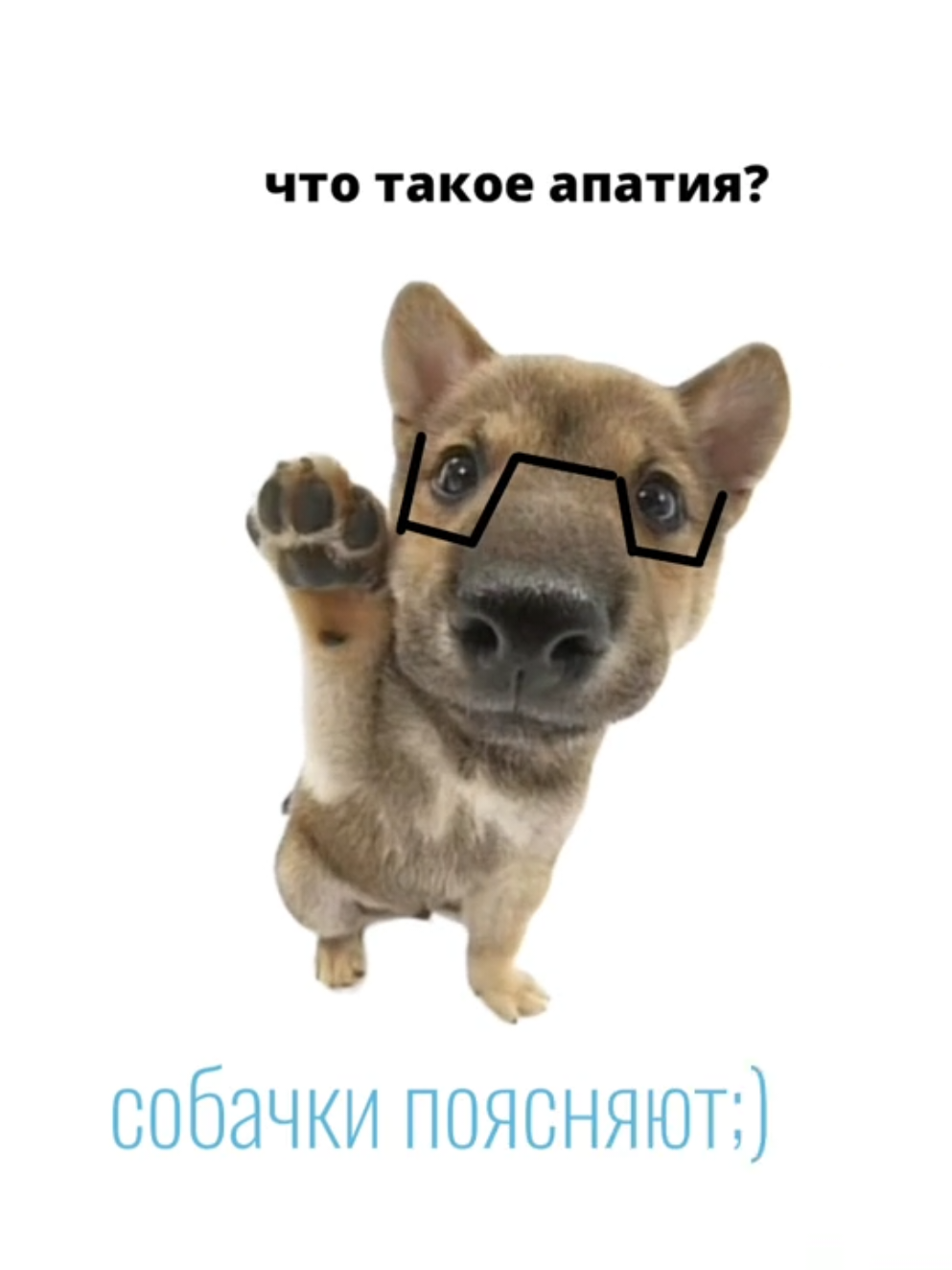 #собакиобьясняют #собаки #обьясняют #аппатия  озвучка:@Kivsya  помощник тгк:@Алуанка ^_^ 🍓🎵 