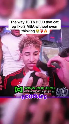 Tota was in NYC with a cat 😭🔥 #tota #viral #newyorkcity #trending #fyp 
