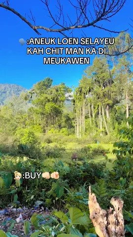 🖕