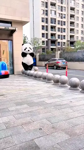 #funnyvideos #funny #funnyanimals #comedyvideo #comdy #lucu #fyp #fypシ #foryou #xuhuong 