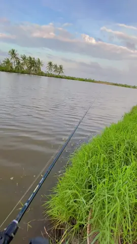 🎣#câucagiaitri 