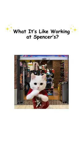 What it’s like working at Spencer’s explained by kitty #explainedbycats #spencers #catmemes #relatable #adayinmylife #learning #working #cats #Vlog 