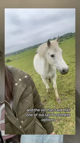 yes my pride is gone I have resorted to begging on the internet to keep him alive #fyp #horse #pony #equineasthma #help 