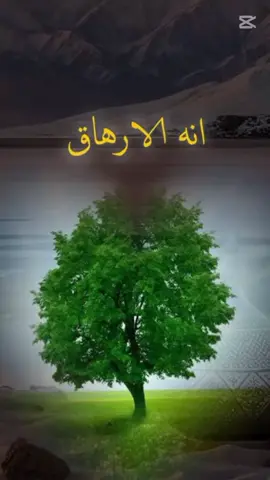 #CapCut الارهاق الروحي او الارهاق النفسي #امثر الما من الارهاق الجسدي #الجسدي ترتاح بمجرد اخذ قسط من الراحة اما الروحي صعب التعافي منه #تطول مدة الشفاء منه 