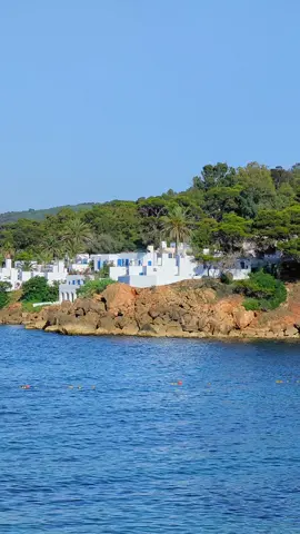 Tipaza 🌊😍 #visitalgeria #tourismalgeria #discoveralgeria #travelphotography #bejaia #tiziouzou #tourism #travelvlog #tipaza #algerie 