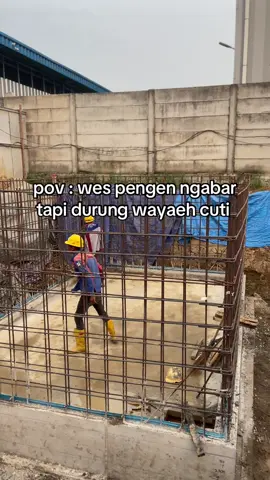 pie iki cah, pama ketemu mangon🤣🤣#ayambangkok #mangon #pakhoy #pama #4u #fyp #peternakmuda 