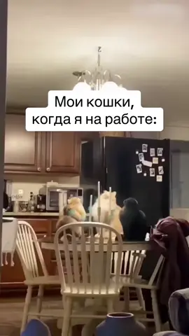 #ятвояистина  
