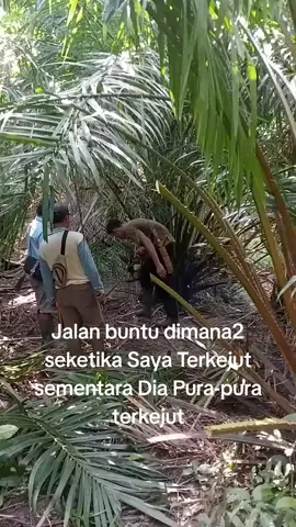 jawaban template pun di copy paste