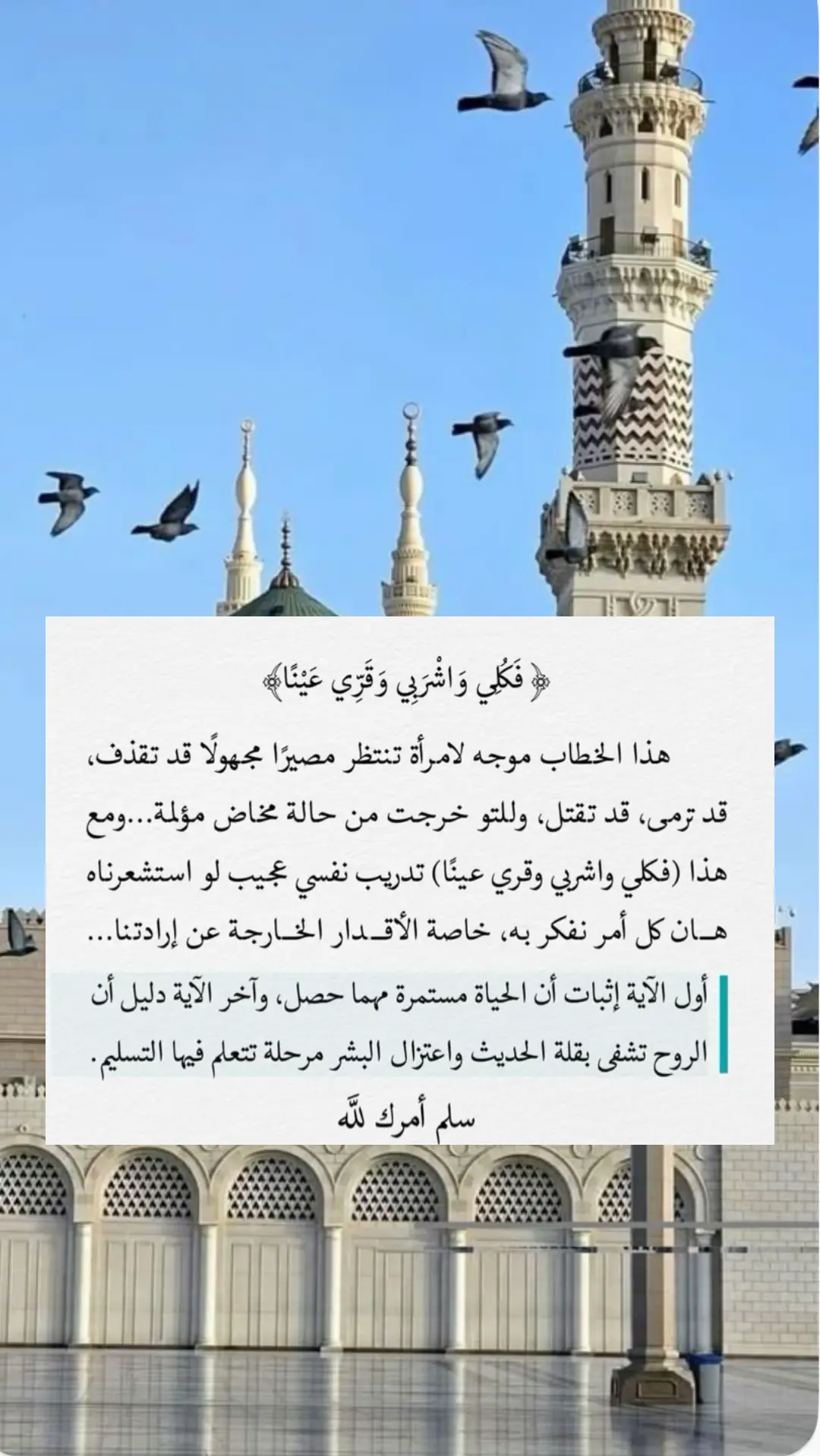 فَكُلِي وَاشْرَبِي وَقَرِّي عَيْنًا﴾ ‏أكثر آية تسري طمأنينتها في روحي، عندما خاطب الله تعالى مريم وهي في ضيقٍ من أمرها #مواعظ_مؤثرة #ايات_قرانيه_تريح_القلب #تلاوه_خاشعه #قران_كريم #الصلاه_الابراهيميه #الصلاه_والسلام_عليك_ياحبيبي_يارسول_الله 