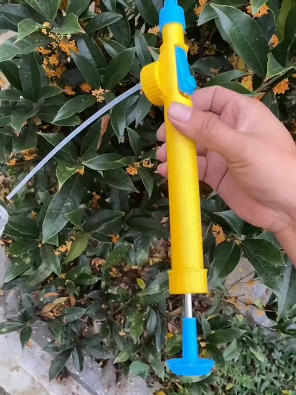 O melhor pulverizador manual que você pode encontrar aqui no tiktok shop! e ainda ele está com uma super promoção imperdível! clique no botão laranja pra adquirir o seu. #tiktokshop #horta #pulverizador 
