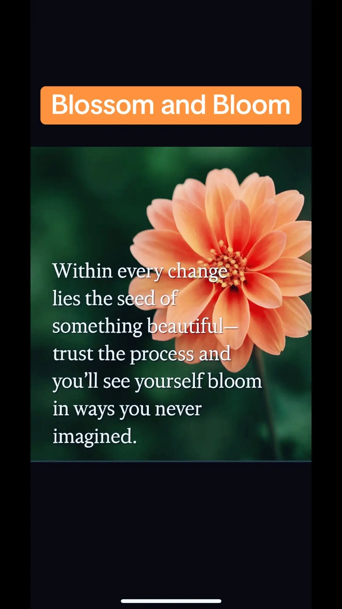 The Proceses we encounter in life or the journeys we must take always Produce Seeds for you to discover. 