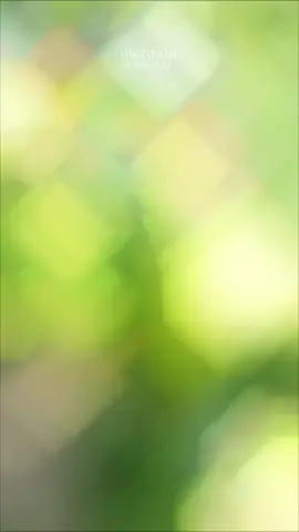 #цьогодня 