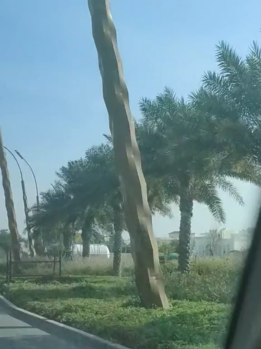 ভাই বড় ধন রক্তের বাদন  যদি ও পৃথক হয় নারীর কারন