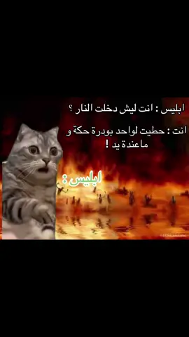 #ميمز #رياكشن 