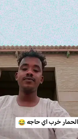 الحمار خرب اي حاجه  #بجا_ولنا_في_قمة_المجد_رايات_☺️✌ #بورتسودان_البحر_الأحمر_السودان🇸🇩 #تصميم_فيديوهات🎶🎤🎬 #شعب_الصيني_ماله_حل😂😂 #خجووو_الشغل_دا_يناااس😑😏 