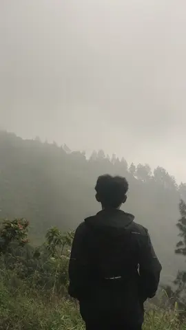 #fypage #fyp #mountain #pendakifomo 