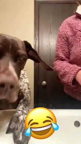 🤣🤣#dogsoftiktok #catsoftiktok #PetsOfTikTok #animal #voiceover #funny #funnyvideos #foryou #viralvideo 