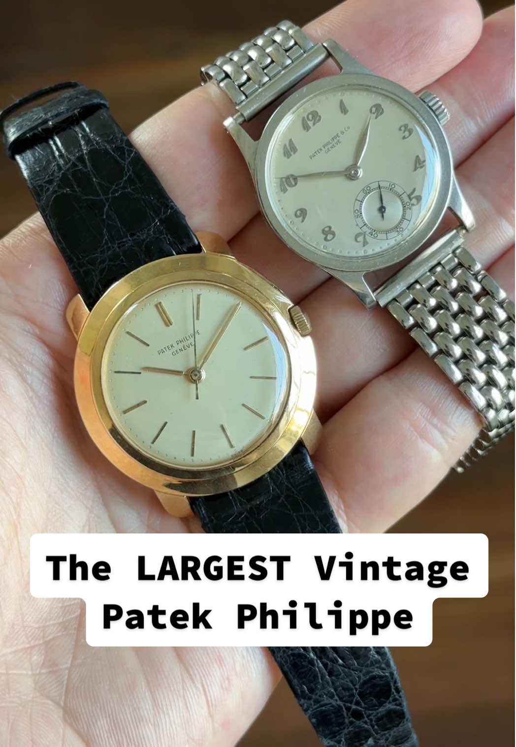 I just picked up the LARGEST Patek Philippe watch in the vintage era, the 2582. #watchtok #watchdealer #patekphilippe #patek #vintagewatch 