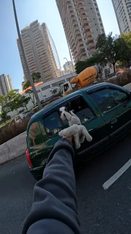Amiguinho papai…..🐶🐶🐶😂😂😂 . . . . . . . . . . #motovlog #comedia #humor#motoboy #viral #humorbrasil #cachorro 