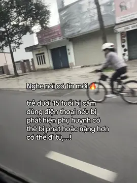 chắc t lên núi ở với khỉ quá🥰#tinnong #luatmoi2025 