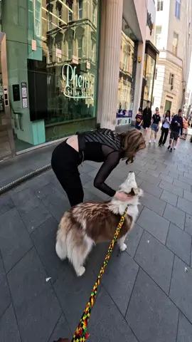 I took my dog to Liverpool!!  #husky #violasnow #famous #viral #fyp #fypp #dogsoftiktok #foryou 