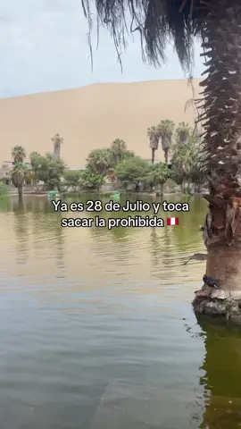Feliz 28 🇵🇪                            #peru🇵🇪 #perú #28dejulio #criollo #ica #musica #edits #paratiiiiiiiiiiiiiiiiiiiiiiiiiiiiiii #foryoupagе #perú_tiktok #huacachina #independencia #julio #zambocavero #guitarra 