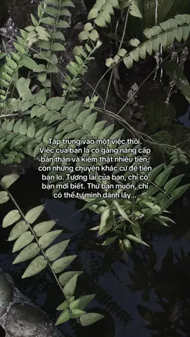 …#tamtrang #story 