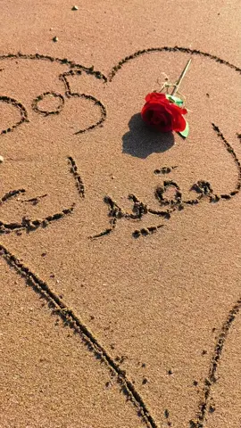 ونعم 👑  #الدليمي #العقيدات_عيال_الابرز #جبله 