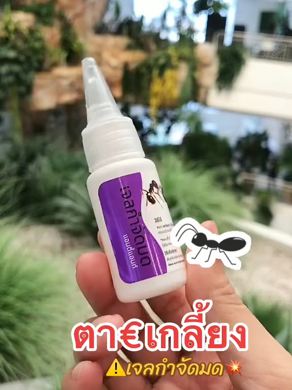 เจลกำจัดมด #เจลกําจัดมด #รีวิวเจลกําจัดมด #เจลกําจัดมดแอนตี้แอนท์ #แอนท์เบทเจลกําจัดมดยกรัง #เจลกําจัดมดantiant