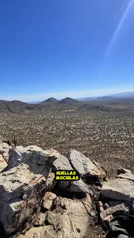 •	#AltarSonora 	•	#DesiertoDeAltar 	•	#CaminoAlNorte 	•	#RiesgoEnElDesierto 	•	#CrucePeligroso 	•	#AltarRutaMigrante 	•	#FronteraCaliente 	•	#SonoraOculta 	•	#MuroFronterizo 	•	#HistoriasDelDesierto 	•	#Altar2025 	•	#MigrantesEnElCamino 	•	#ZonaCalienteFrontera 	•	#DesdeSonoraAlSueño 	•	#CaminoSinRetorno 	•	#TikTokFrontera 	•	#VocesDelDesierto 	•	#CulturaDeAltar 	•	#SonoraReal 	•	#TikTokEnLaFrontera