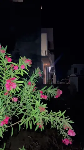 اور پھر کُچھ یادیں بُہت ہی خوبصورت ھوتی ہیں۔ 🌸🦋👀✨💫#views #meh_alee #fypシ゚ #support_me #grow #tiktokviral #unfreezemyacount 